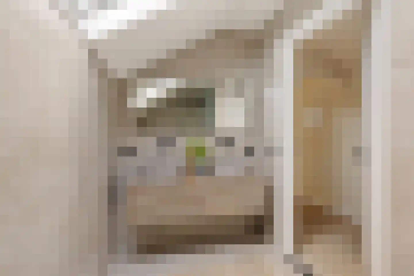 Kerkstraat 26 Wagenborgen thumbnail 22