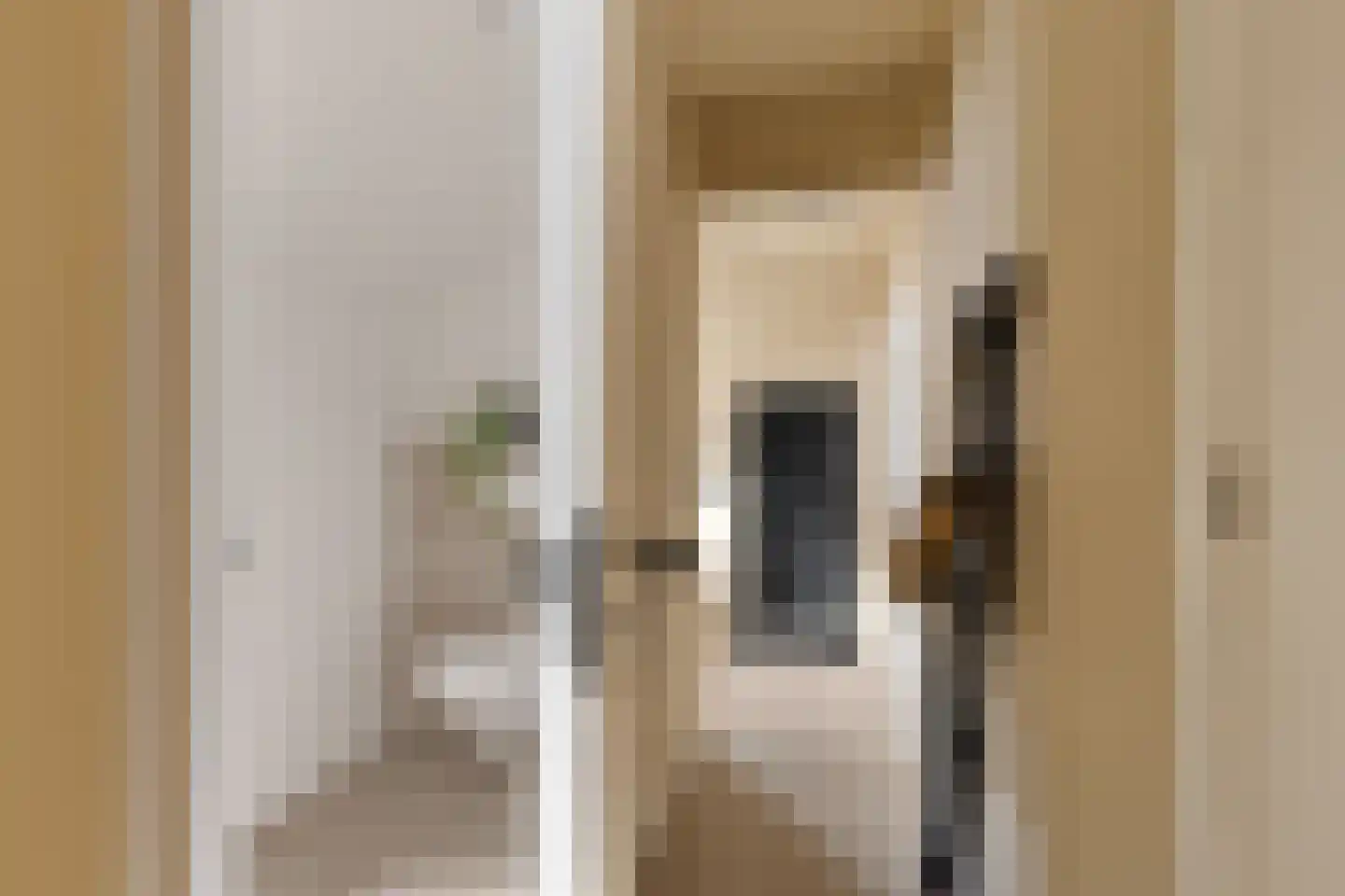 Kerkstraat 26 Wagenborgen thumbnail 24