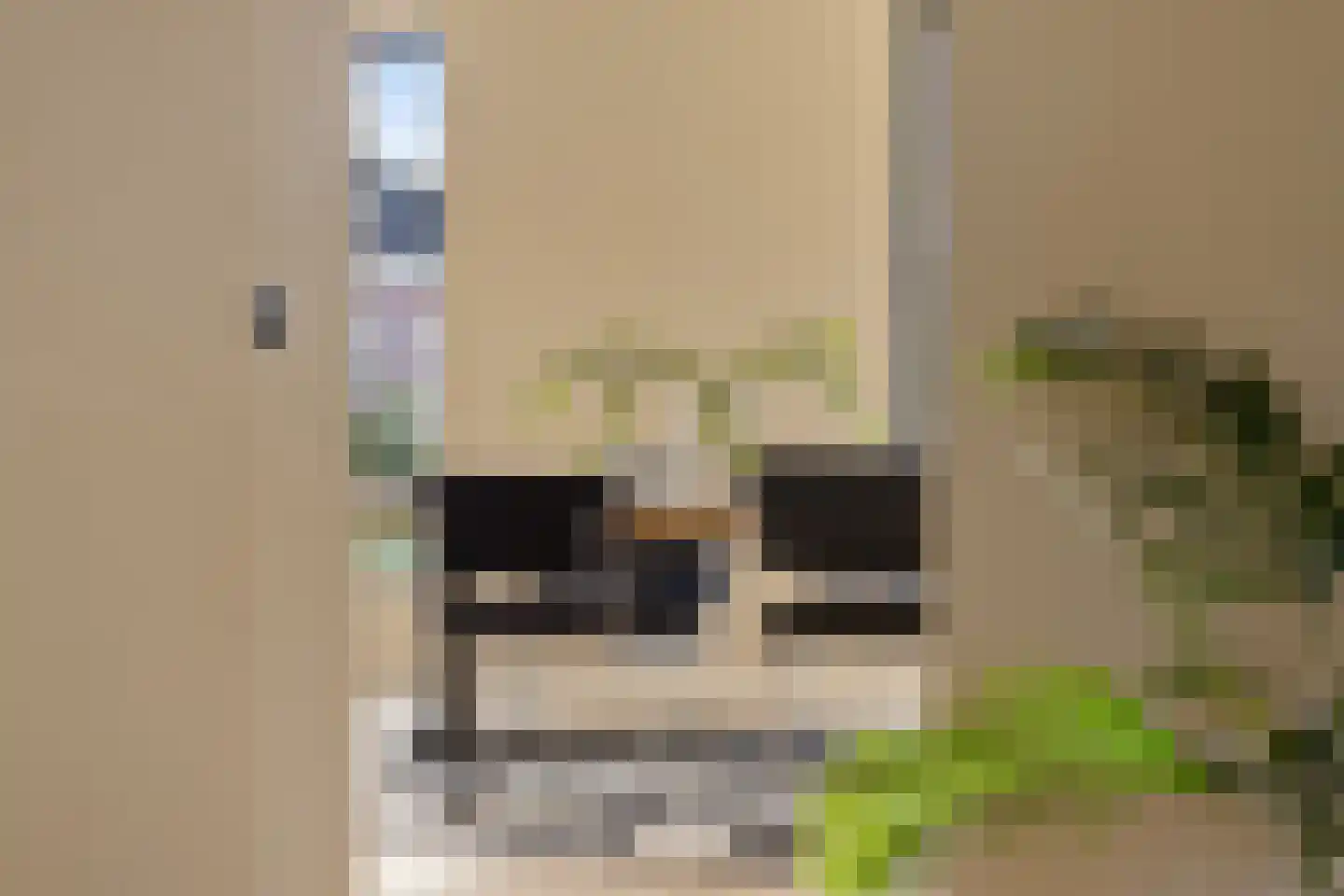 Kerkstraat 26 Wagenborgen thumbnail 30