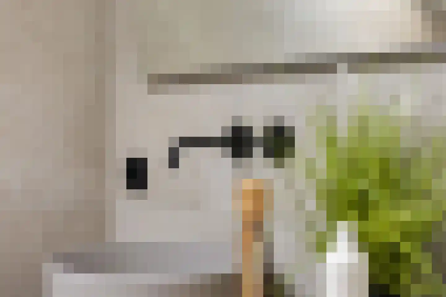 Kerkstraat 26 Wagenborgen thumbnail 32