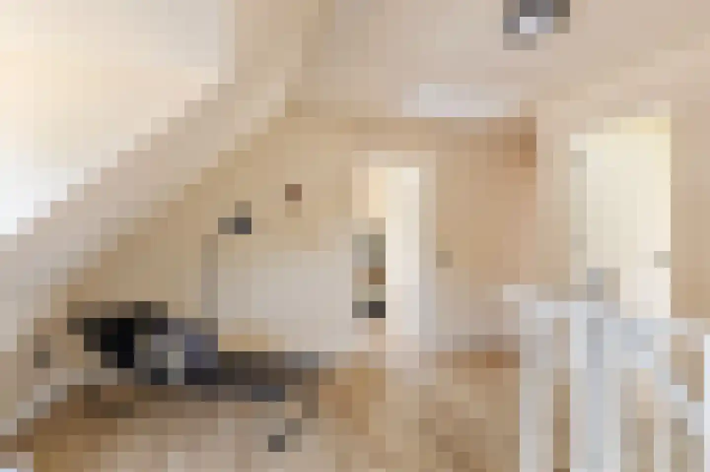 Kerkstraat 26 Wagenborgen thumbnail 34