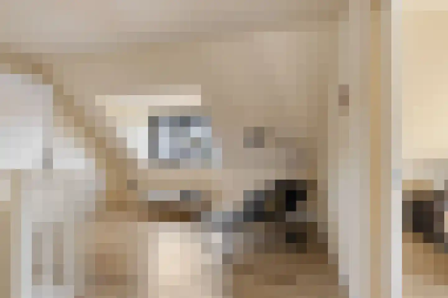 Kerkstraat 26 Wagenborgen thumbnail 36