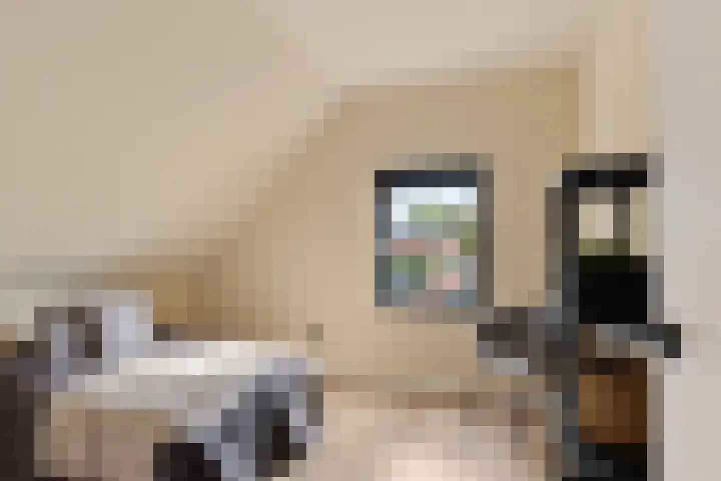 Kerkstraat 26 Wagenborgen thumbnail 41