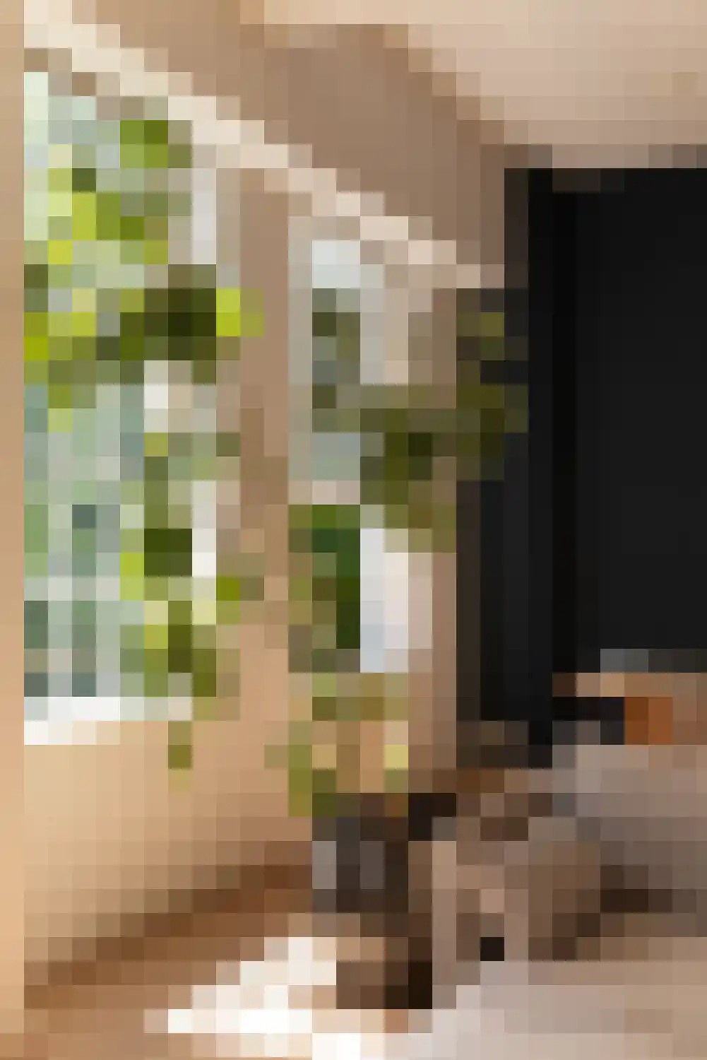 Kerkstraat 261 1 Amsterdam thumbnail 7