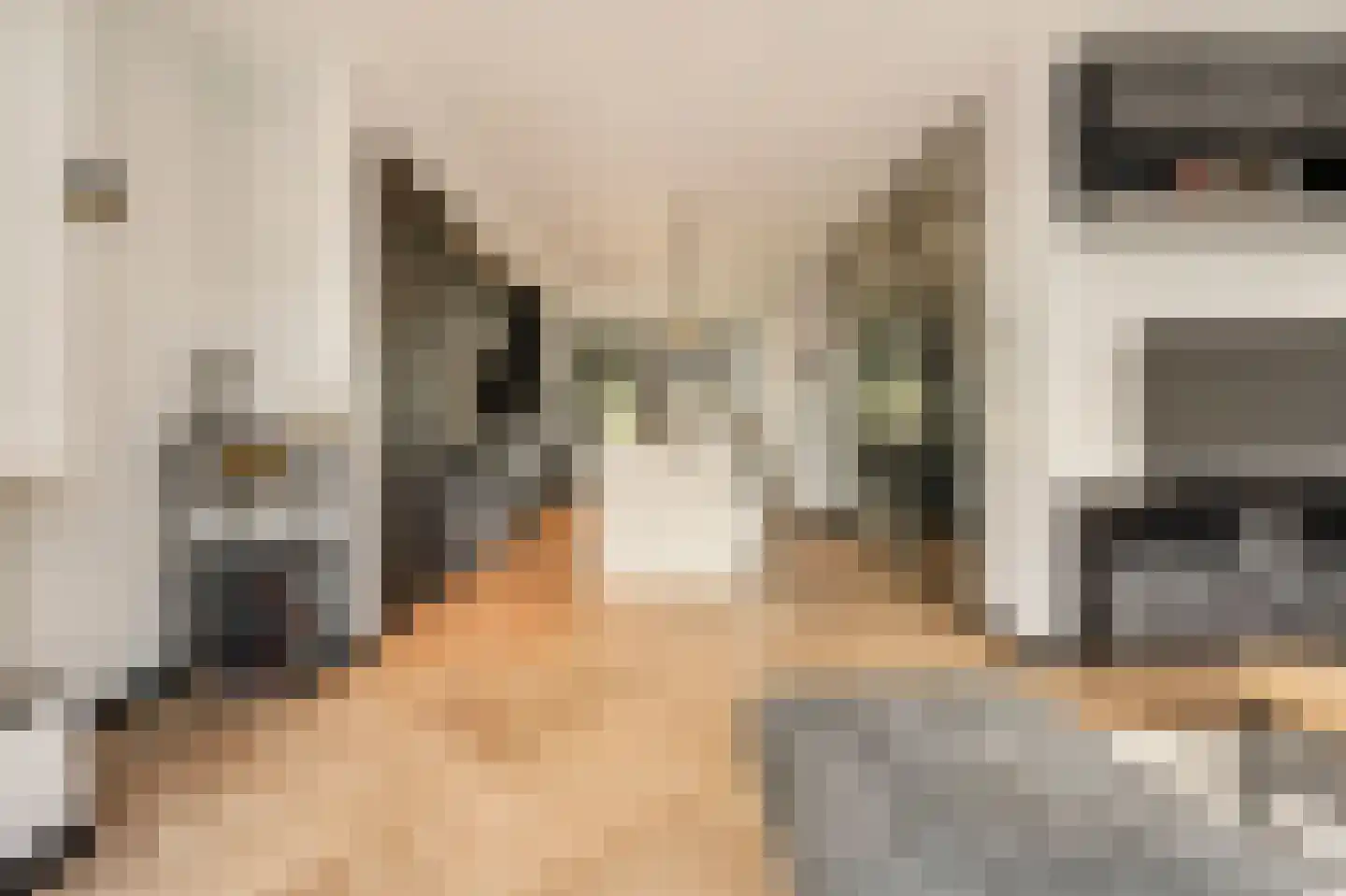 Kerkstraat 266 1 Amsterdam thumbnail 11