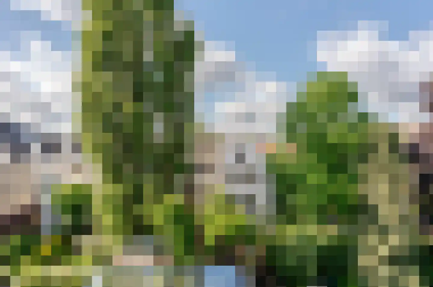 Kerkstraat 266 1 Amsterdam thumbnail 4