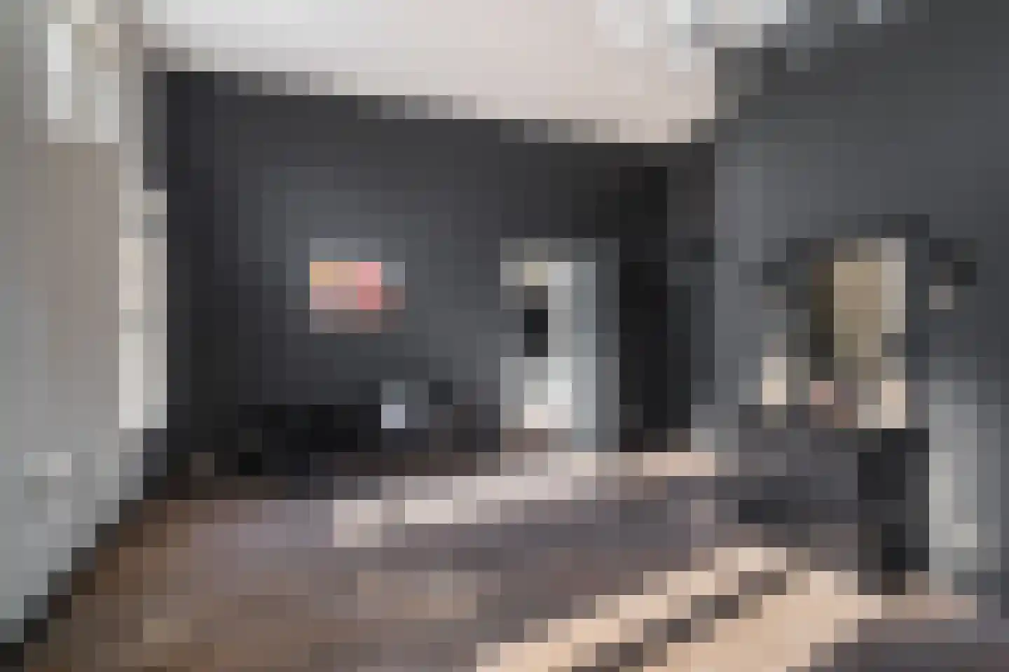 Kerkstraat 27 A Elshout thumbnail 32