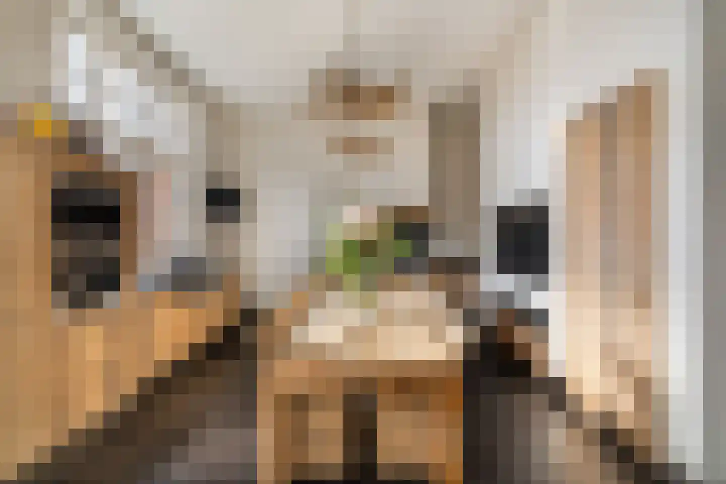 Kerkstraat 27 A Elshout thumbnail 4