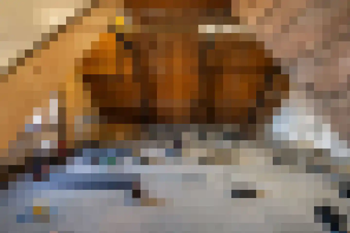 Kerkstraat 27 A Elshout thumbnail 56