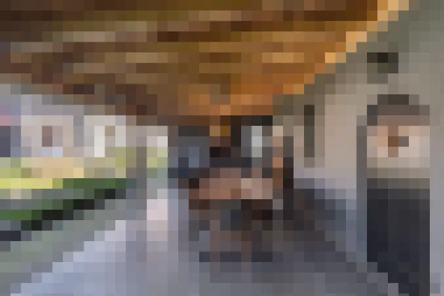 Kerkstraat 27 A Elshout thumbnail 69