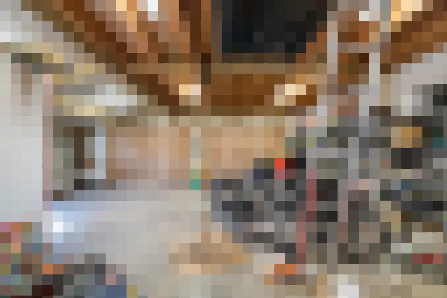 Kerkstraat 27 A Elshout thumbnail 76