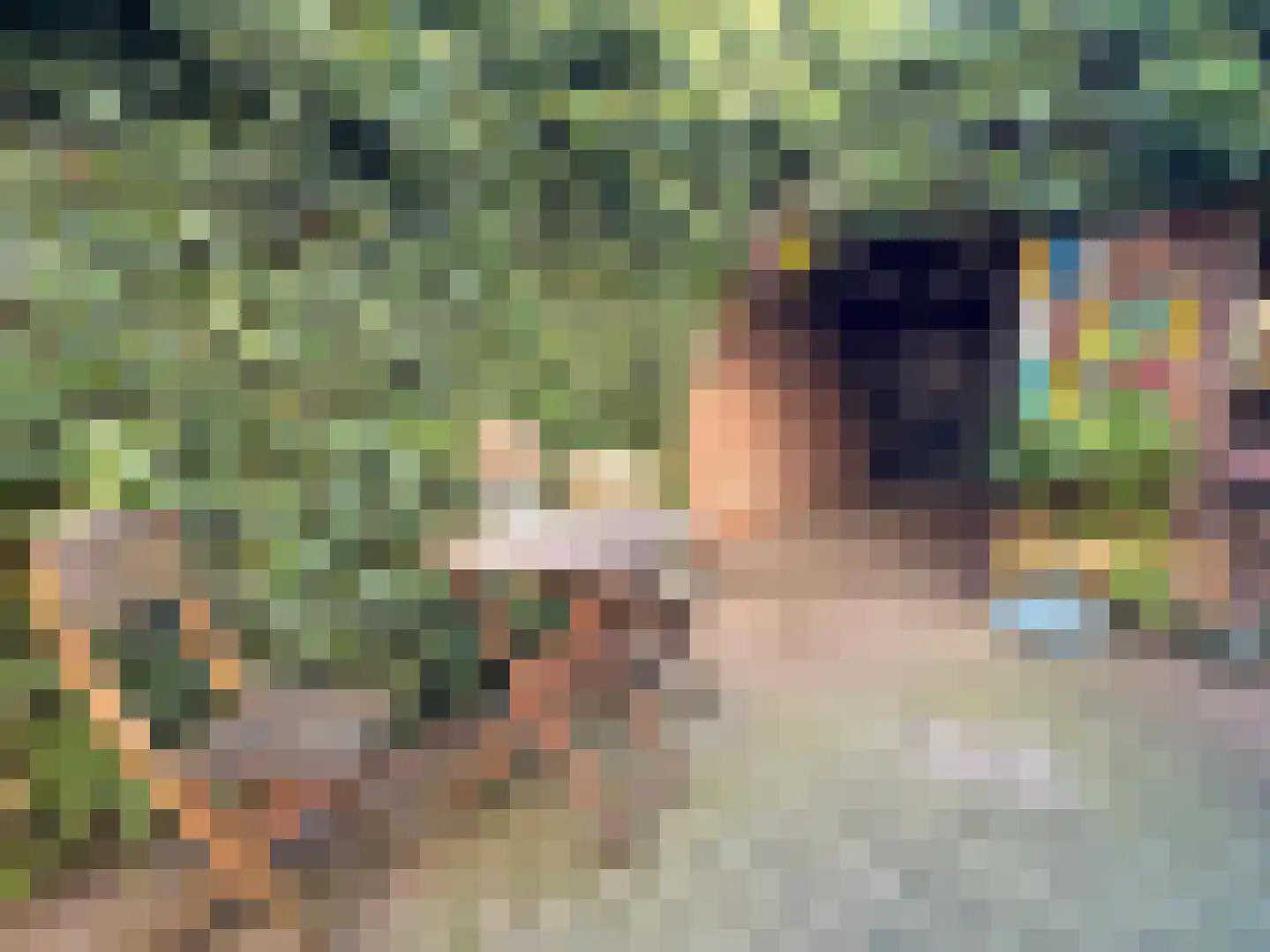 Kerkstraat 27 Coevorden thumbnail 12