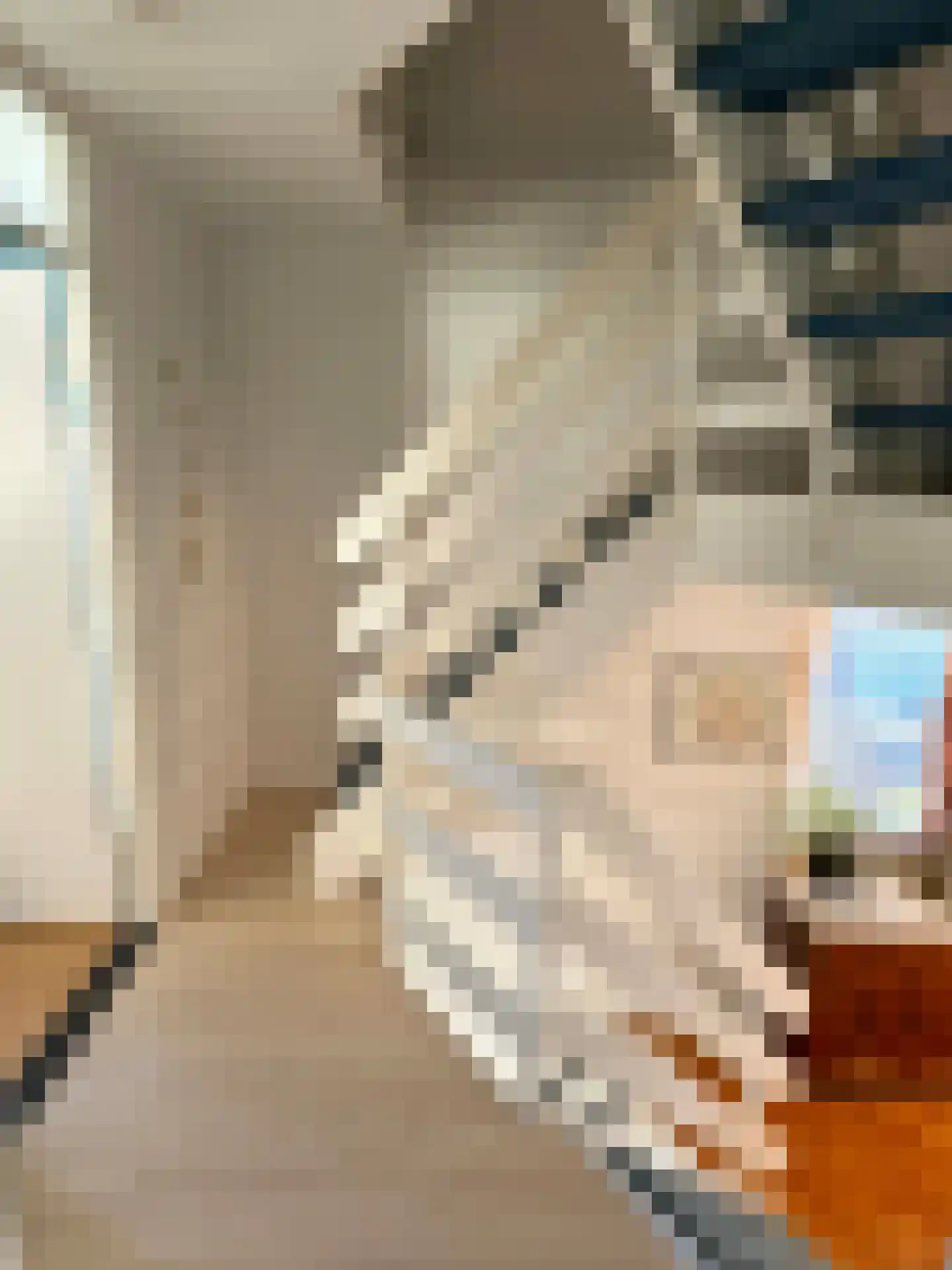 Kerkstraat 27 Coevorden thumbnail 22