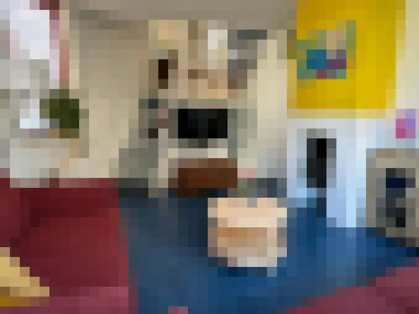 Kerkstraat 27 Coevorden thumbnail 4