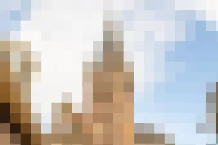 Kerkstraat 27 Monnickendam thumbnail 42