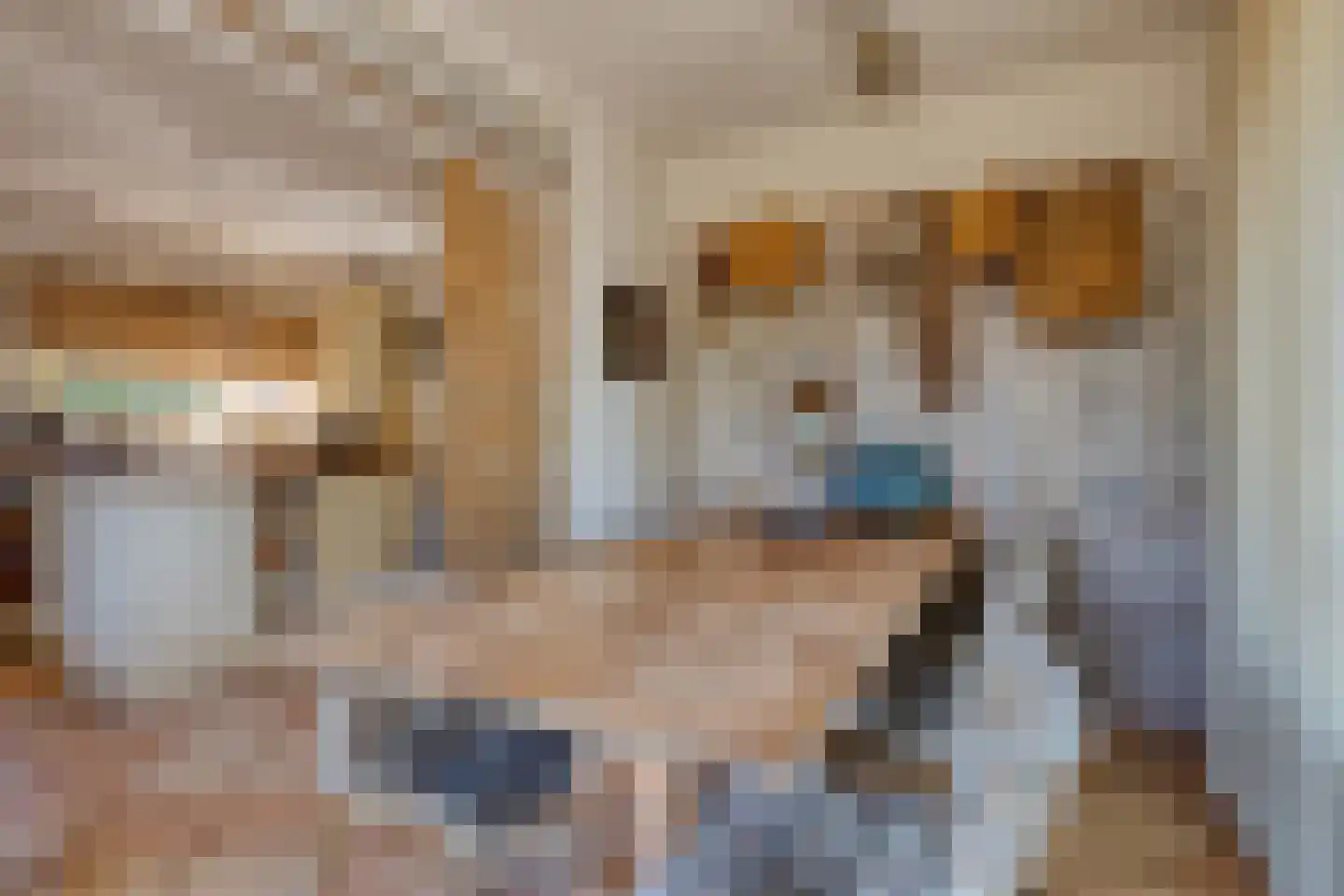 Kerkstraat 27 Vogelwaarde thumbnail 23