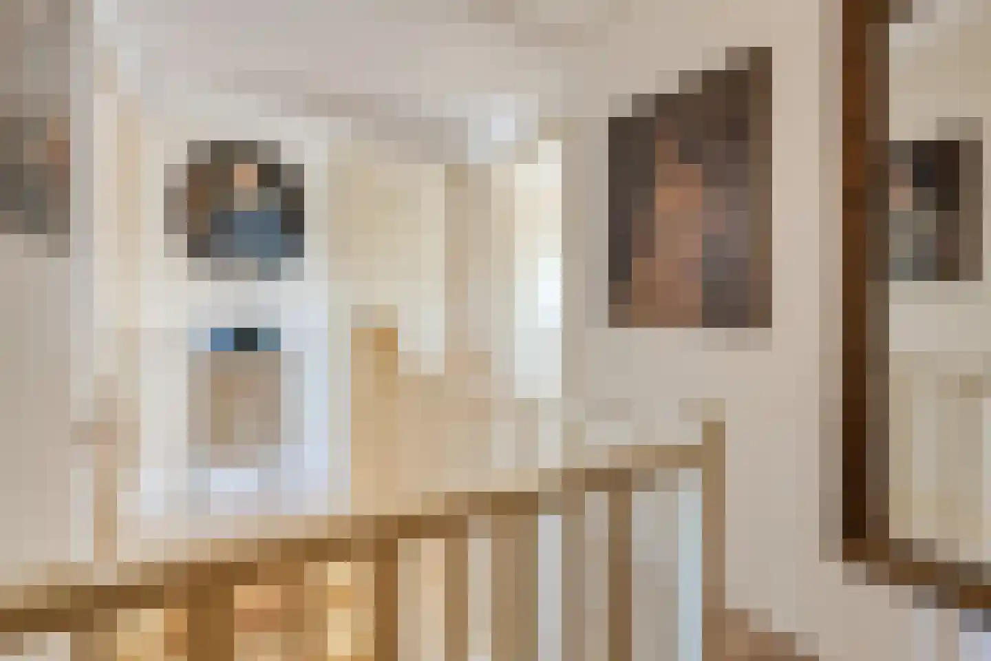Kerkstraat 27 Vogelwaarde thumbnail 29
