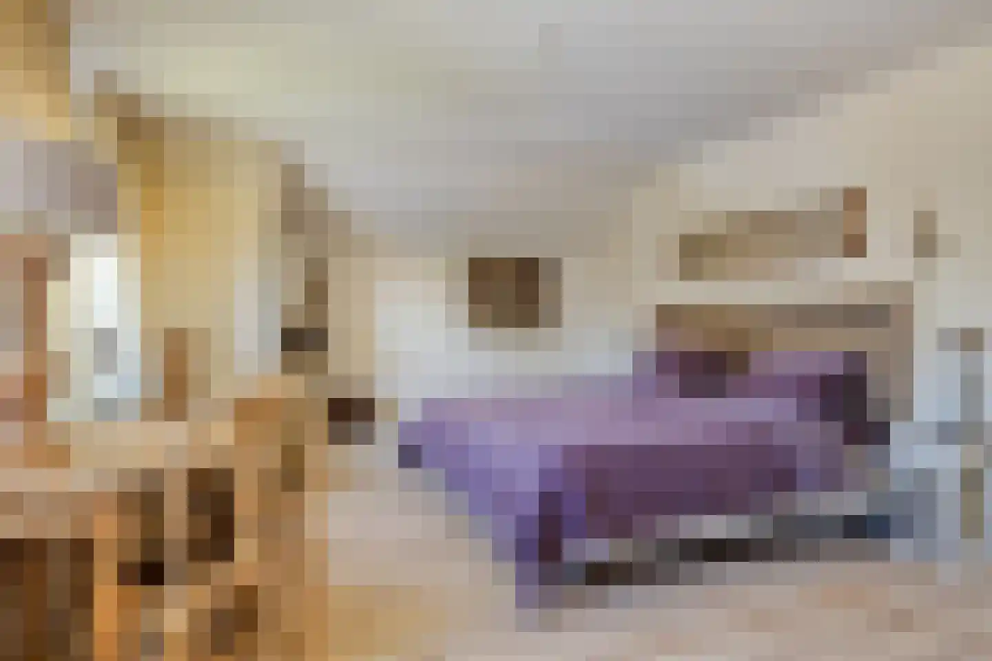 Kerkstraat 27 Vogelwaarde thumbnail 31
