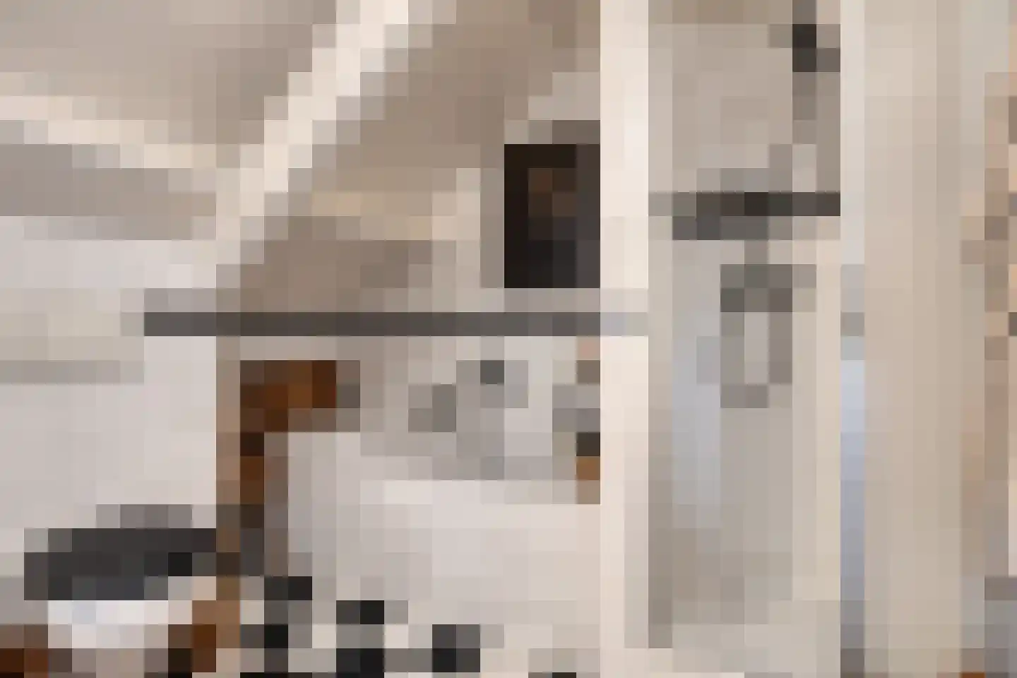 Kerkstraat 27 Vogelwaarde thumbnail 35