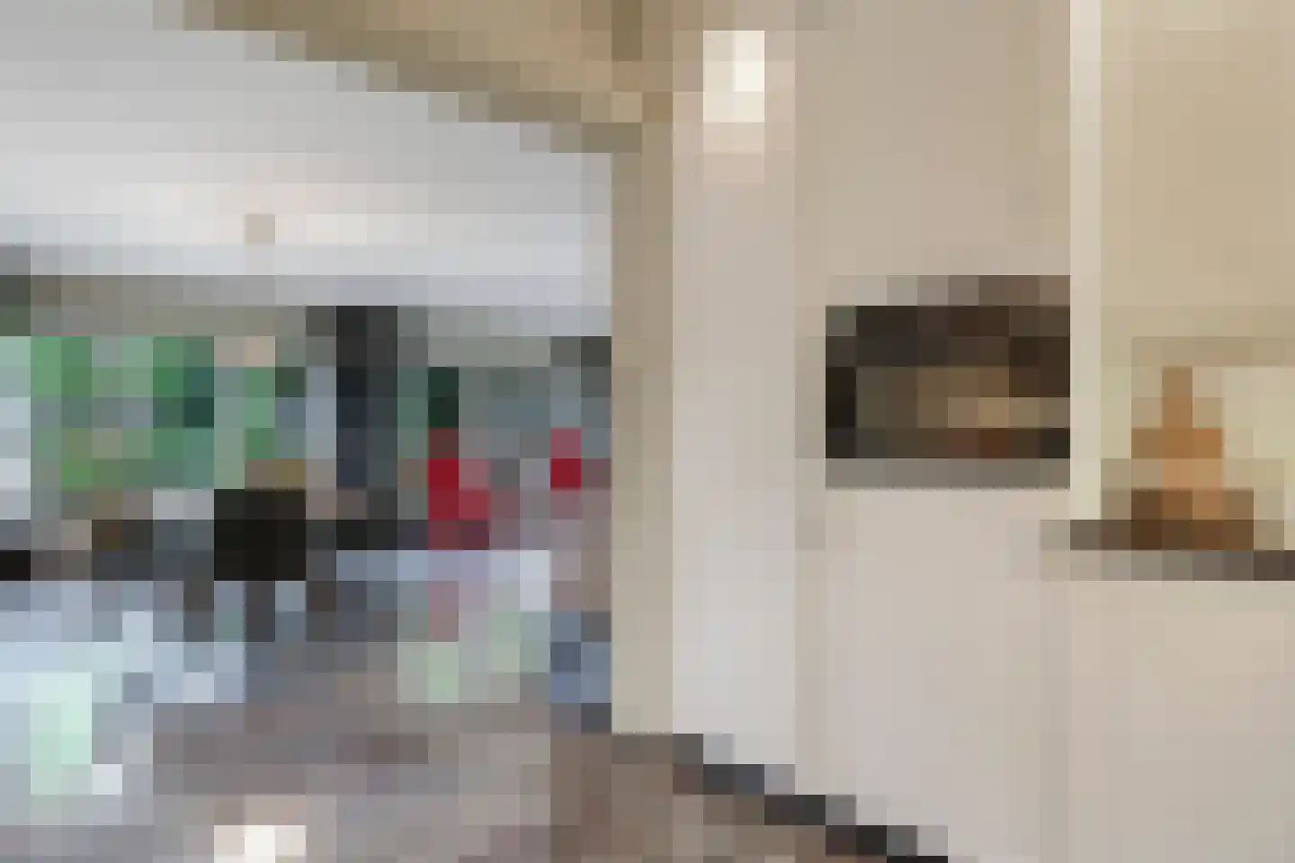 Kerkstraat 28 Andelst thumbnail 27