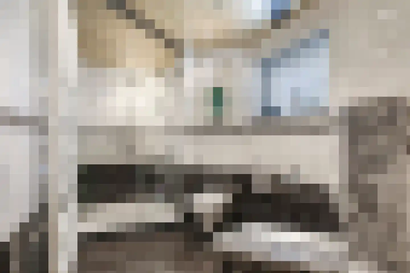 Kerkstraat 28 Andelst thumbnail 42
