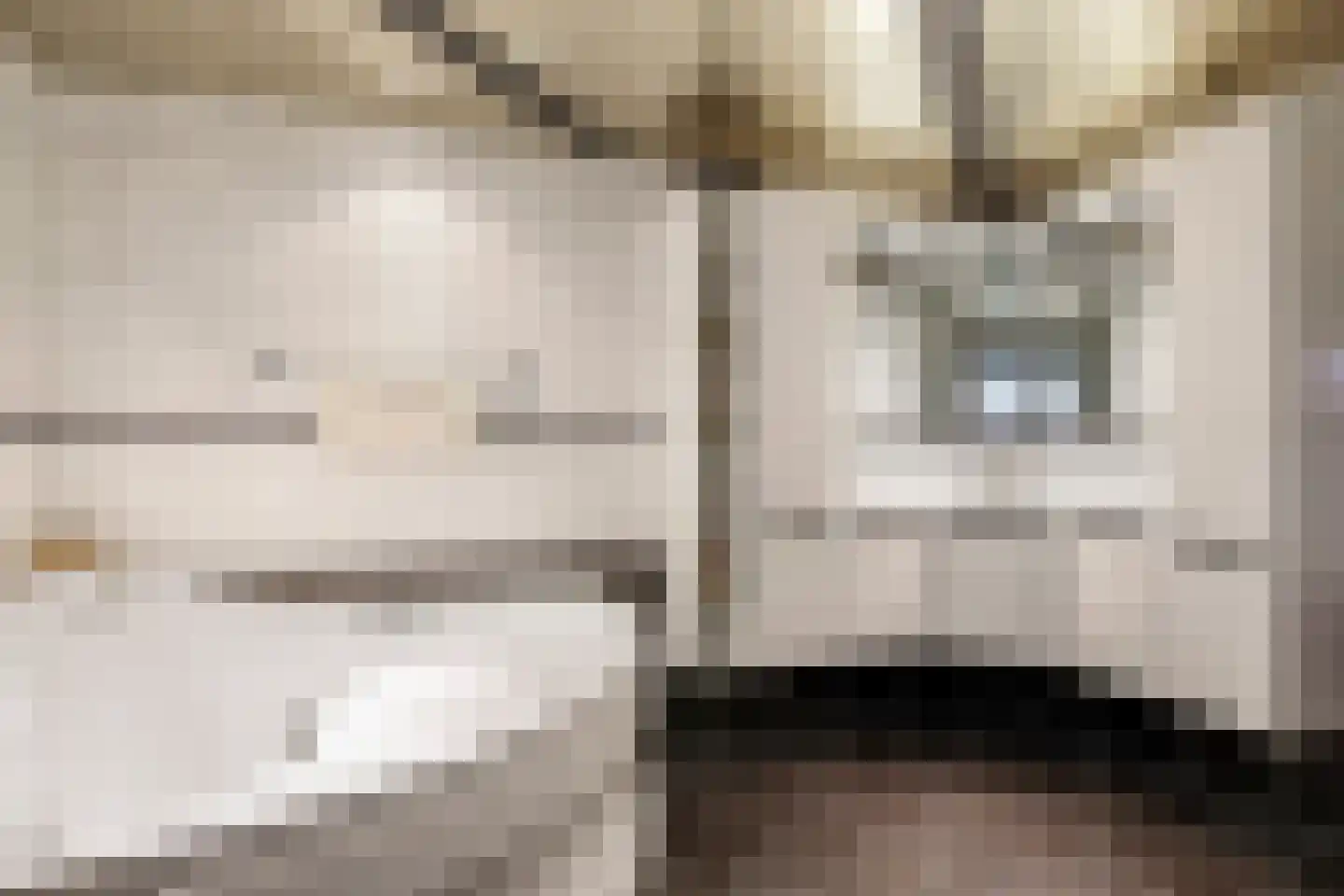 Kerkstraat 28 Andelst thumbnail 44