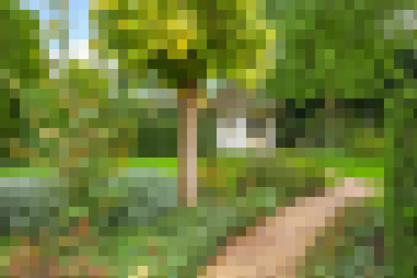 Kerkstraat 28 Andelst thumbnail 53
