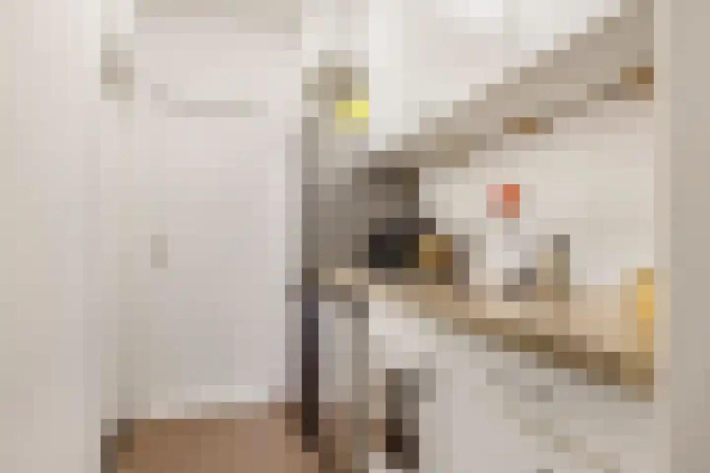 Kerkstraat 28 Andelst thumbnail 67