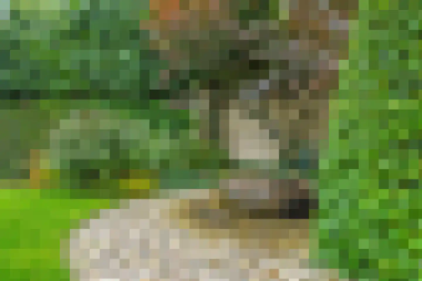 Kerkstraat 28 Andelst thumbnail 91