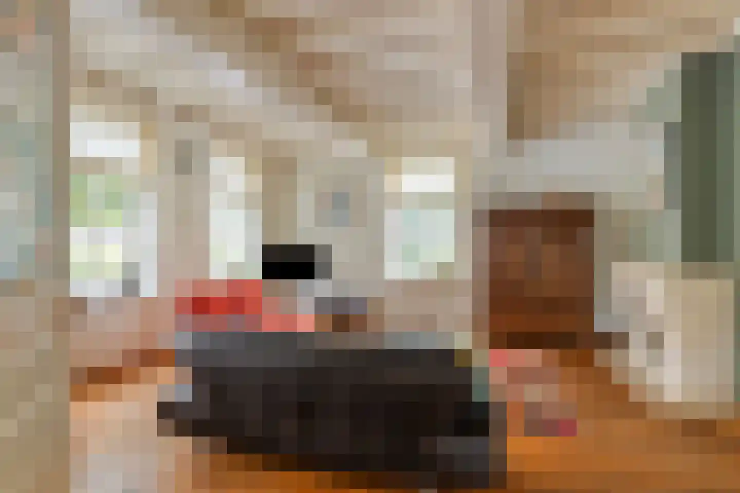 Kerkstraat 28 Elshout thumbnail 10