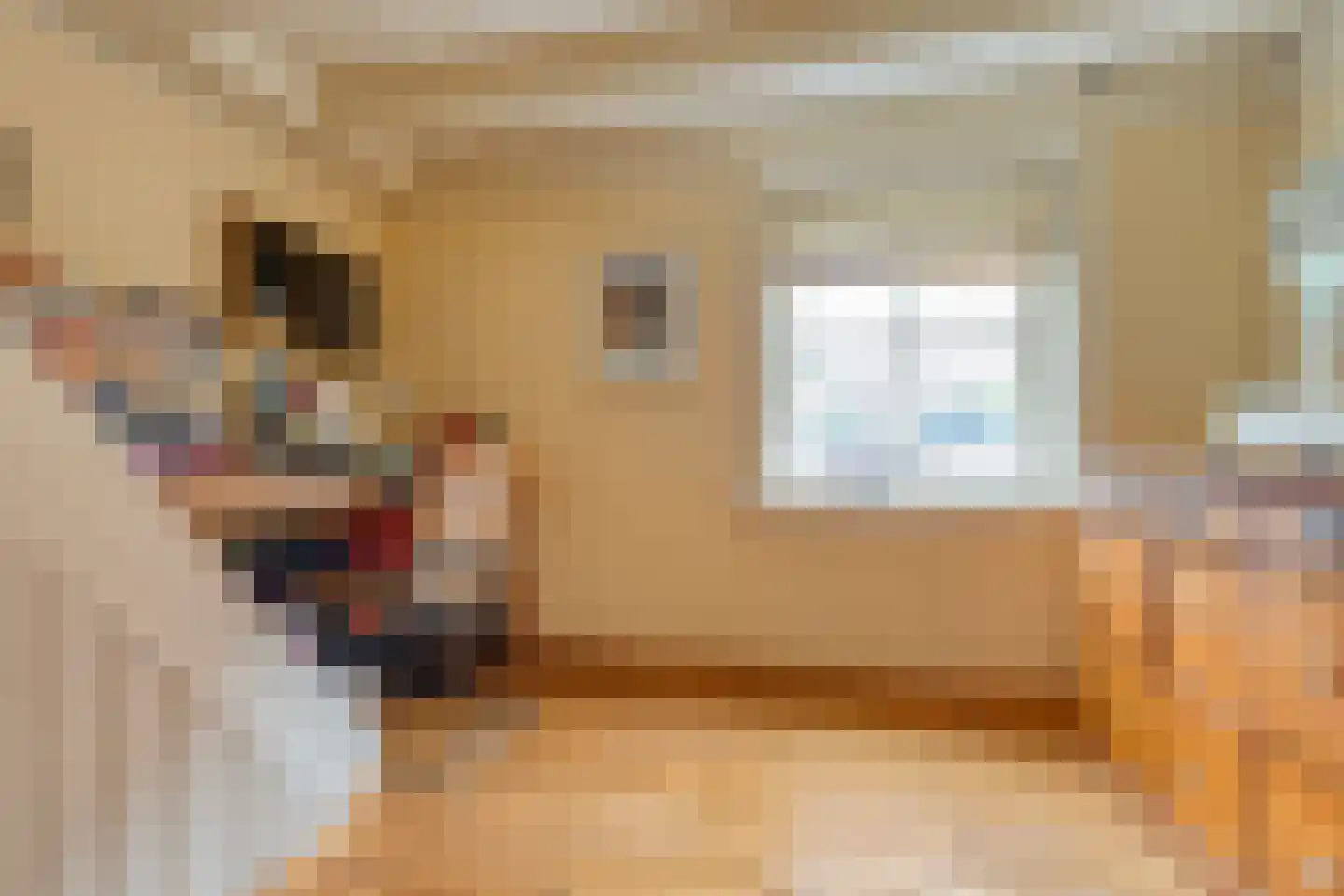 Kerkstraat 28 Elshout thumbnail 18