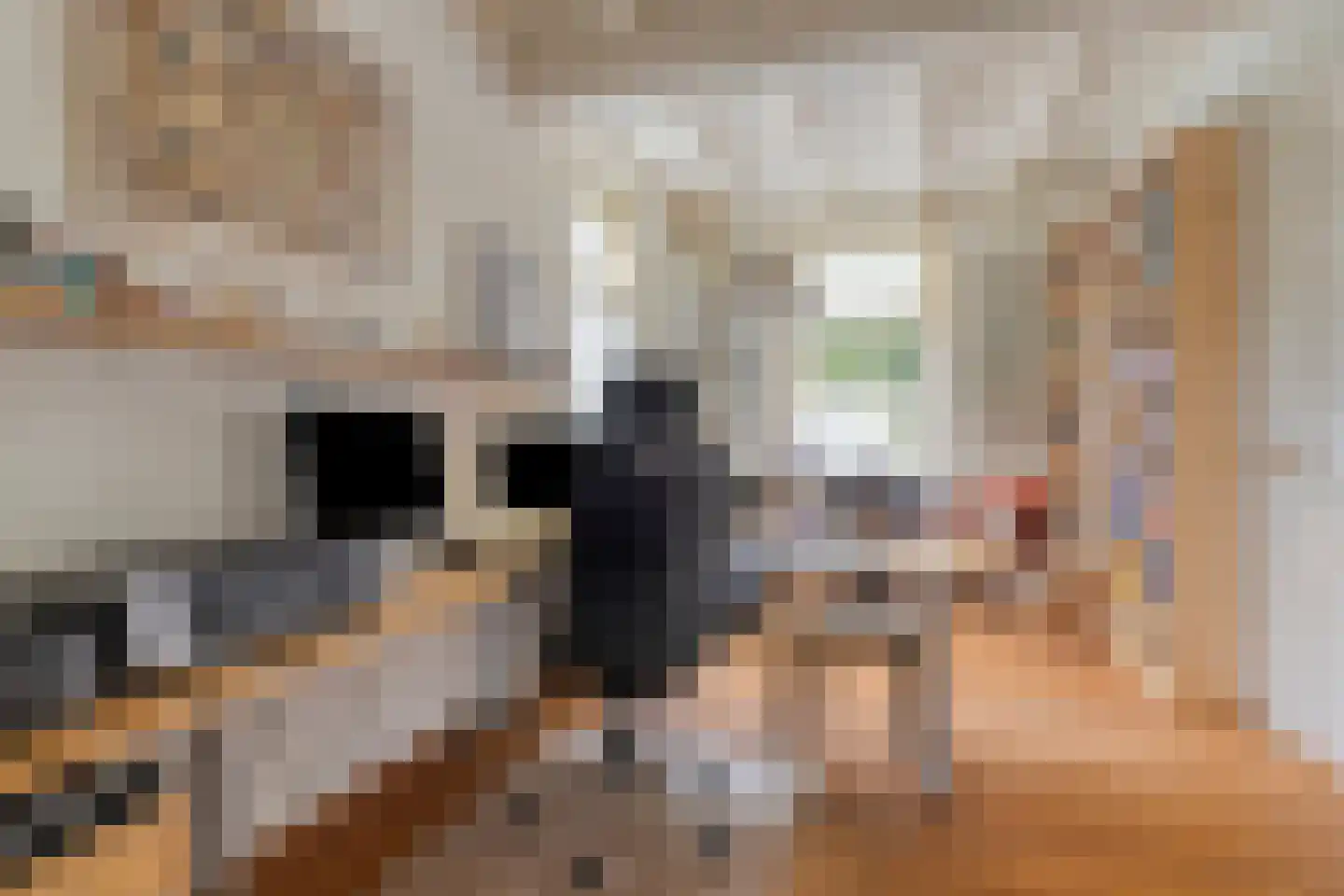 Kerkstraat 28 Elshout thumbnail 23