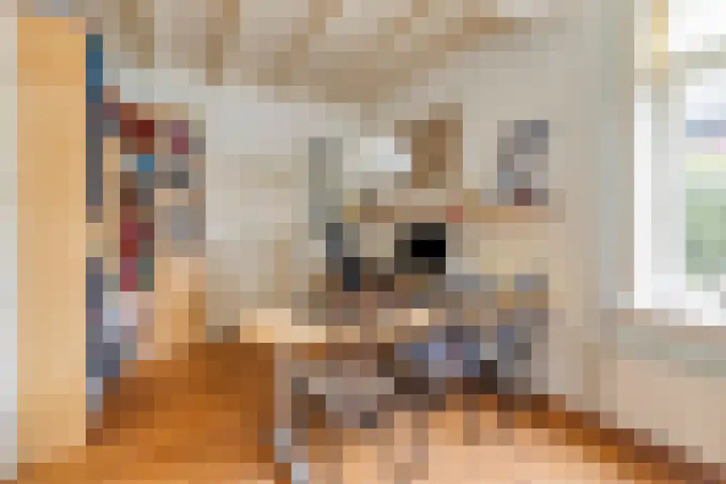 Kerkstraat 28 Elshout thumbnail 24