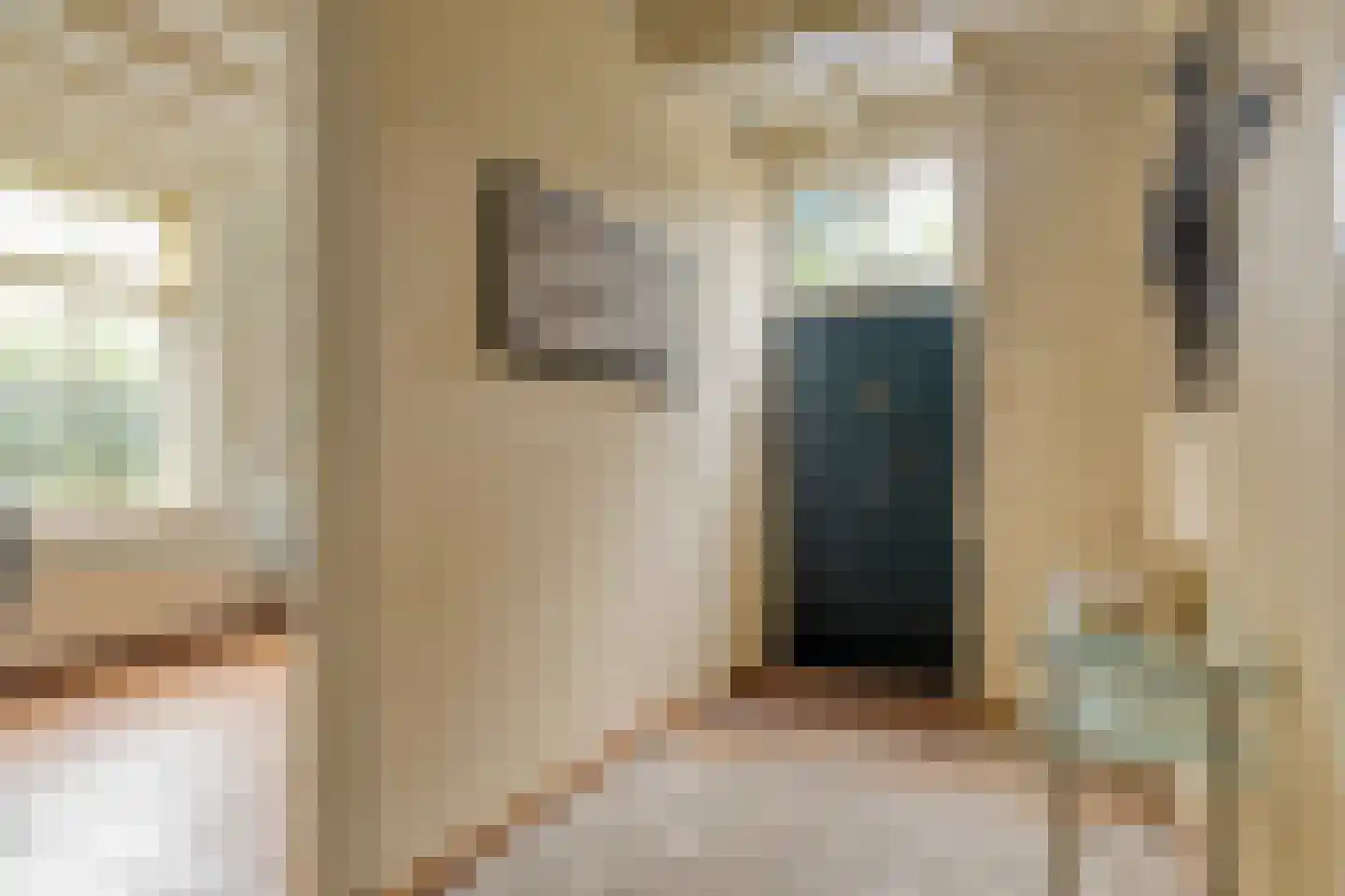 Kerkstraat 28 Elshout thumbnail 25