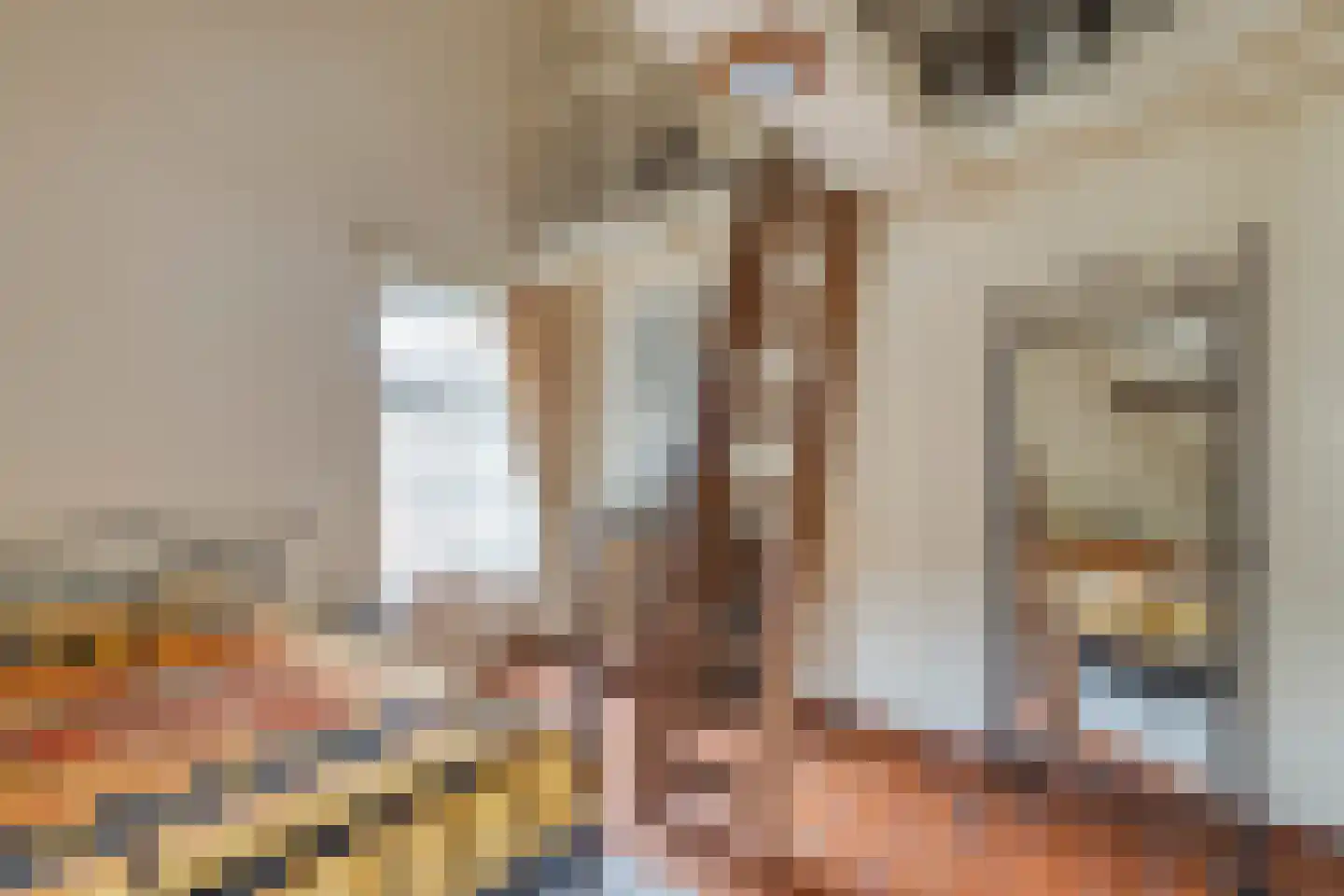 Kerkstraat 28 Elshout thumbnail 30