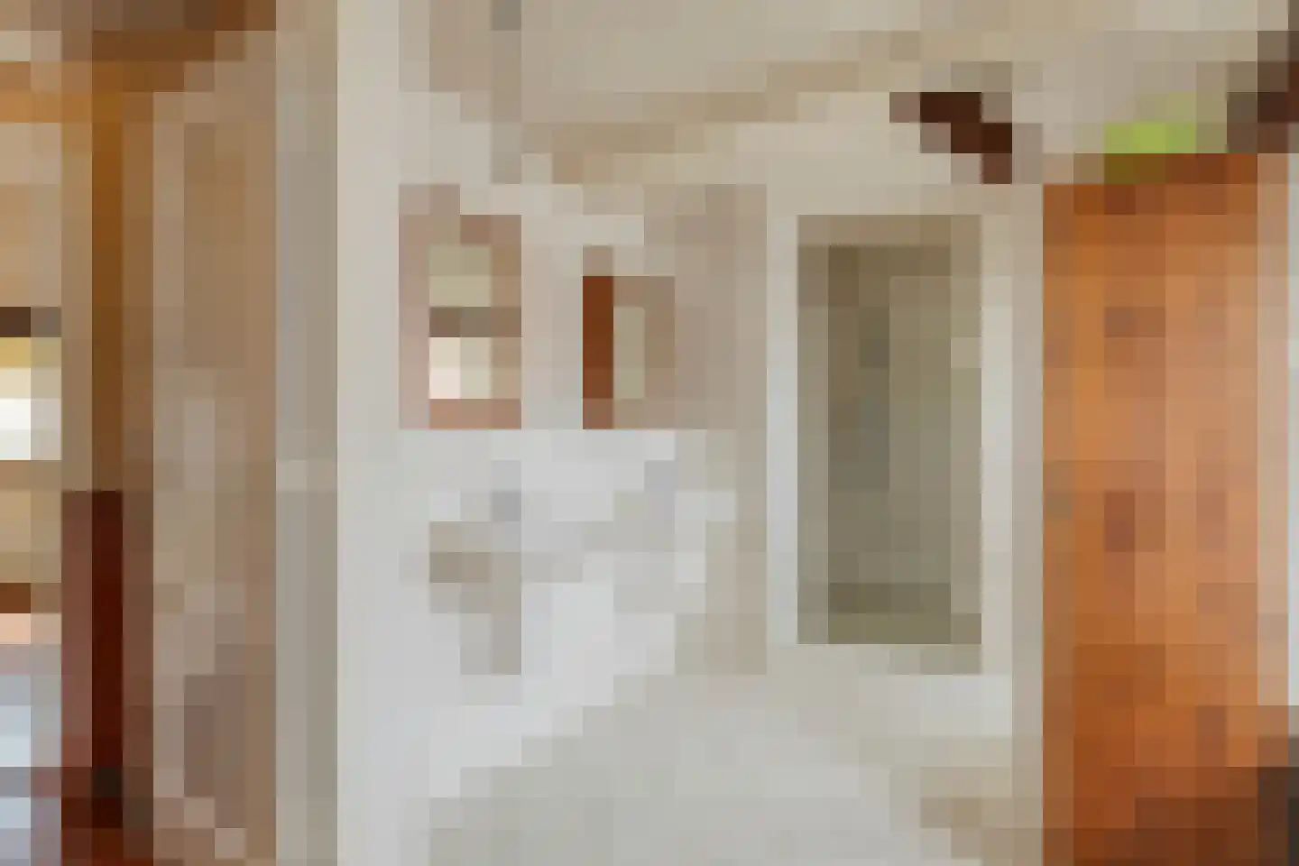Kerkstraat 28 Elshout thumbnail 33