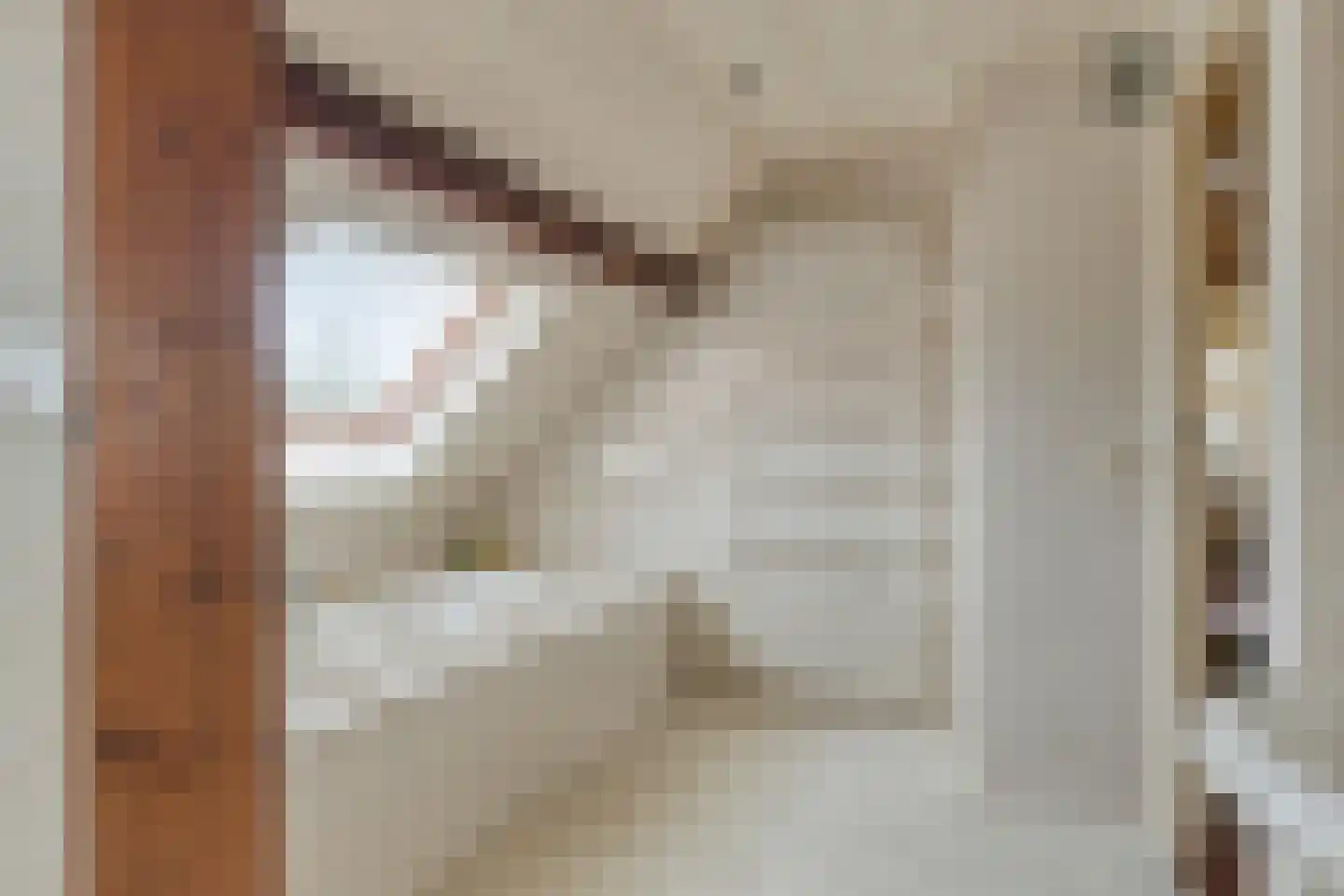 Kerkstraat 28 Elshout thumbnail 34