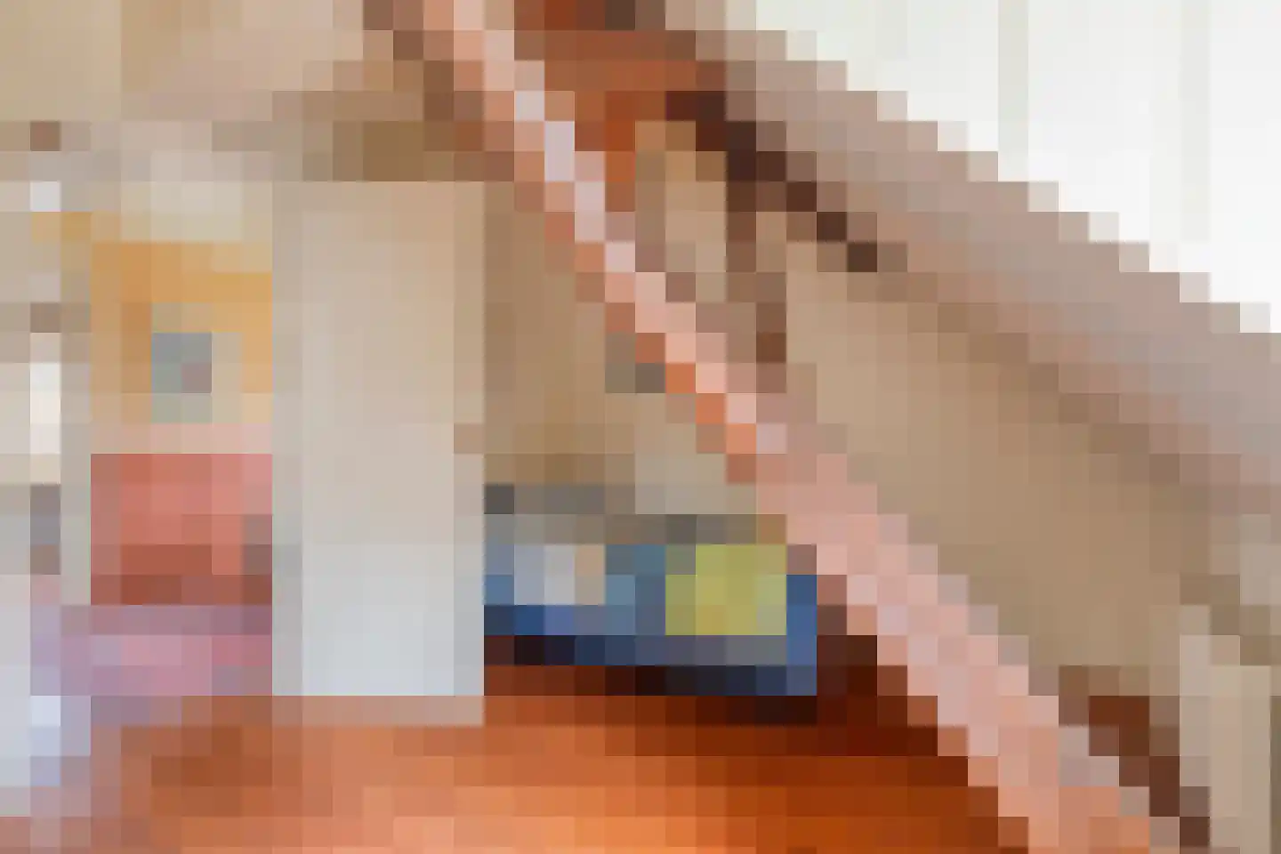 Kerkstraat 28 Elshout thumbnail 39