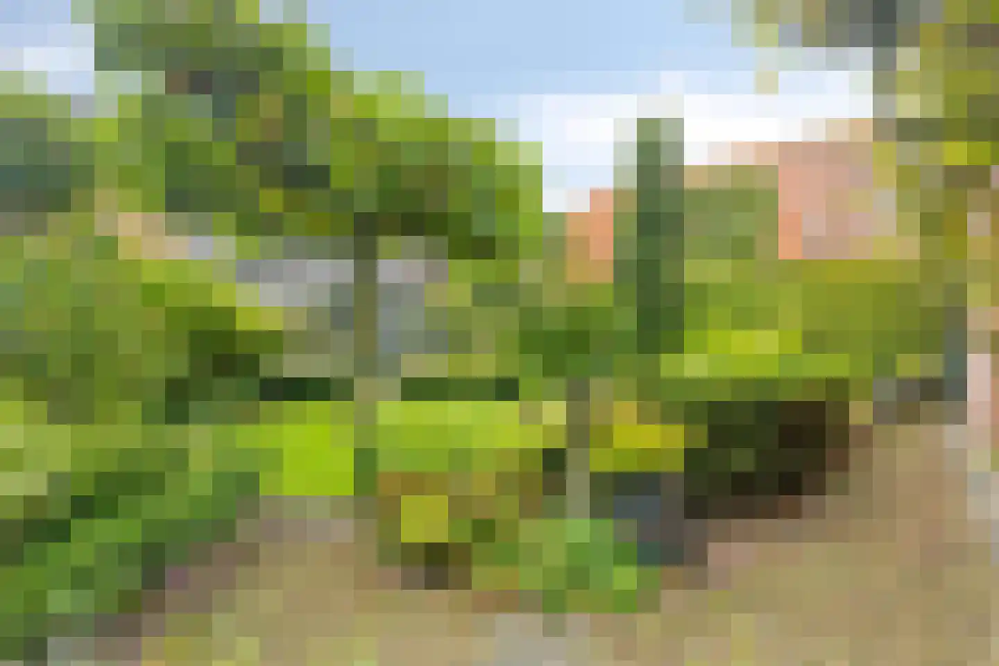 Kerkstraat 28 Elshout thumbnail 44