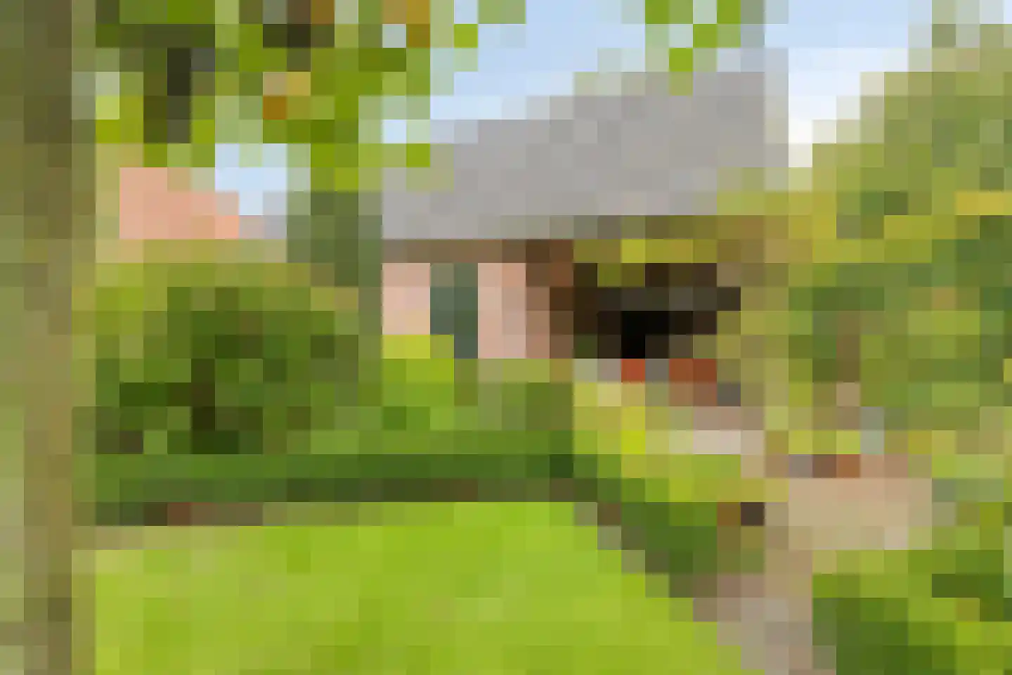 Kerkstraat 28 Elshout thumbnail 45