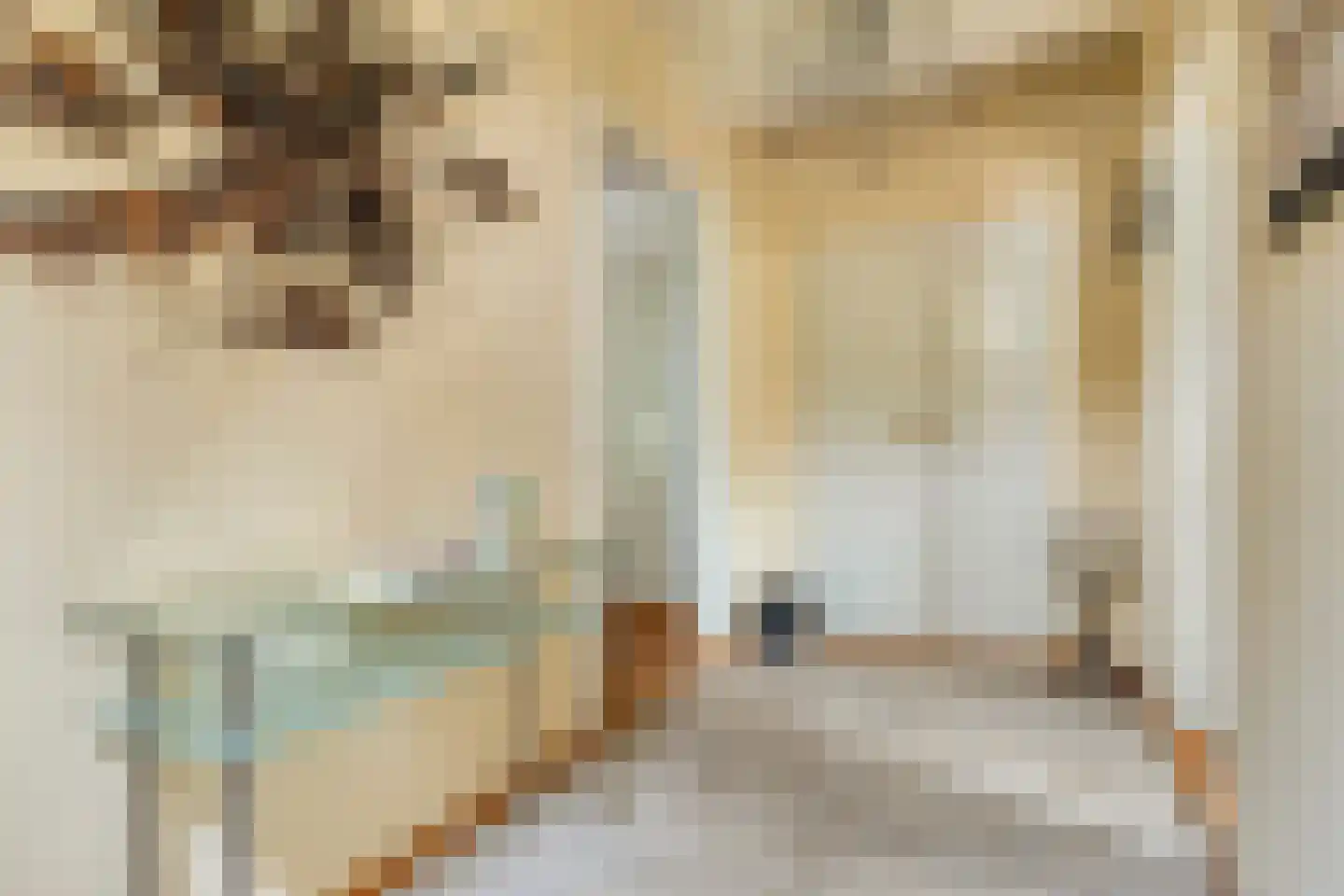 Kerkstraat 28 Elshout thumbnail 9