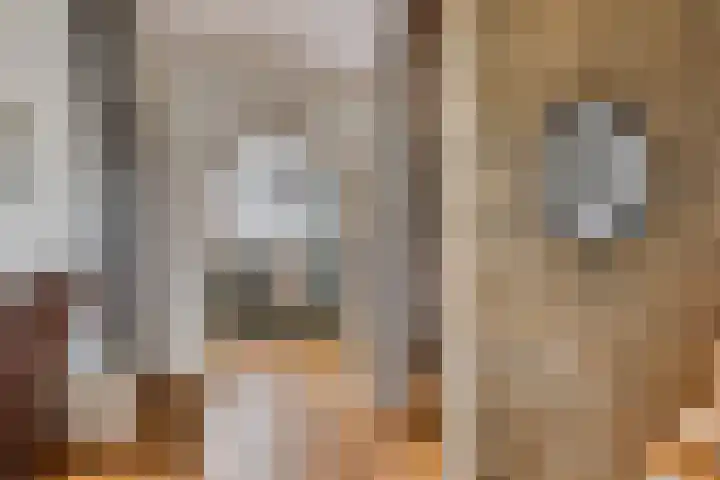 Kerkstraat 28 Lage Zwaluwe thumbnail 14