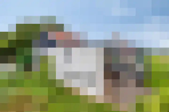 Kerkstraat 28 Lage Zwaluwe thumbnail 46
