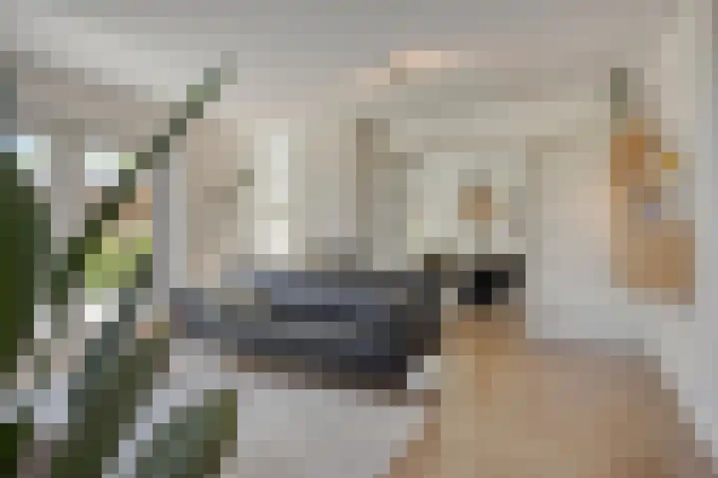 Kerkstraat 28 Veessen thumbnail 12