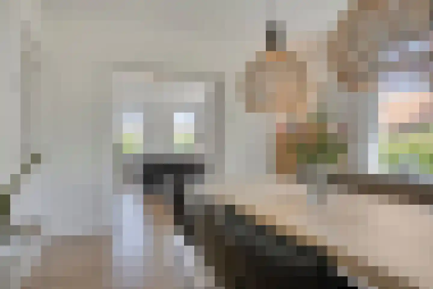 Kerkstraat 28 Veessen thumbnail 24