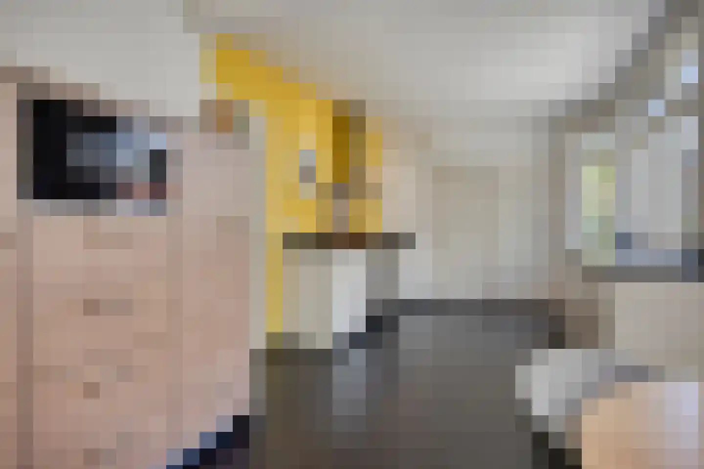 Kerkstraat 28 Veessen thumbnail 28