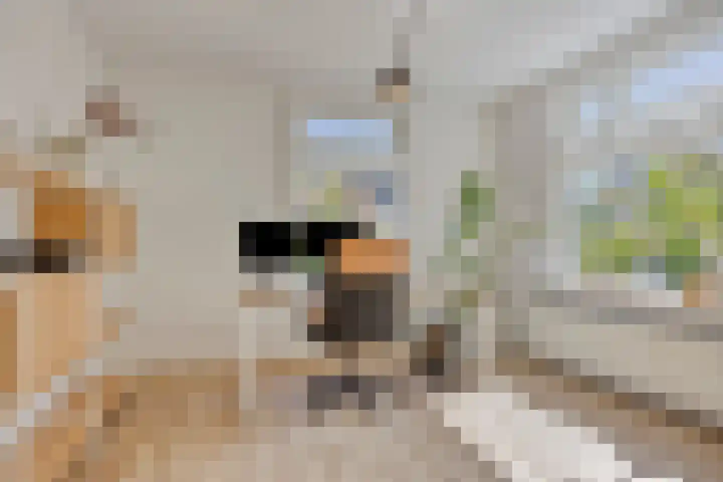 Kerkstraat 28 Veessen thumbnail 33