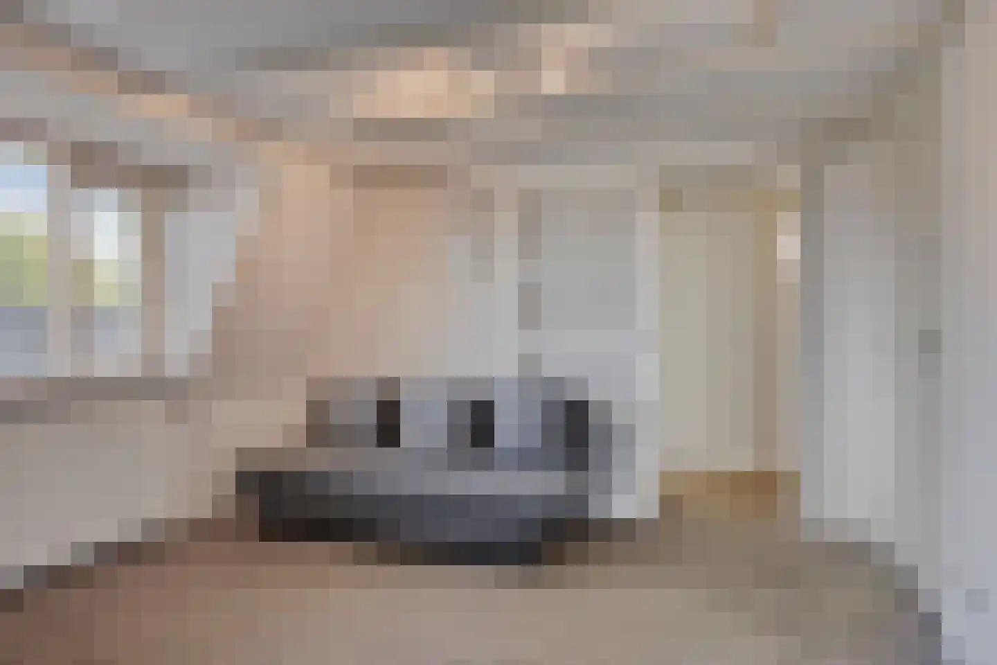 Kerkstraat 28 Veessen thumbnail 37