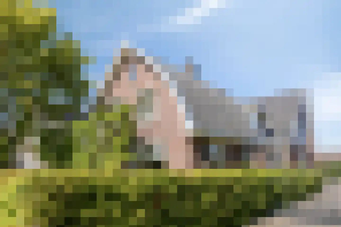 Kerkstraat 28 Veessen thumbnail 58