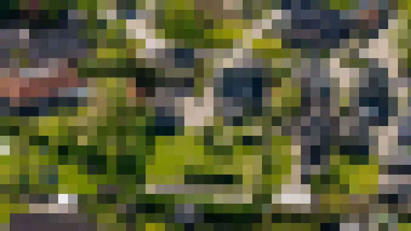 Kerkstraat 28 Veessen thumbnail 75